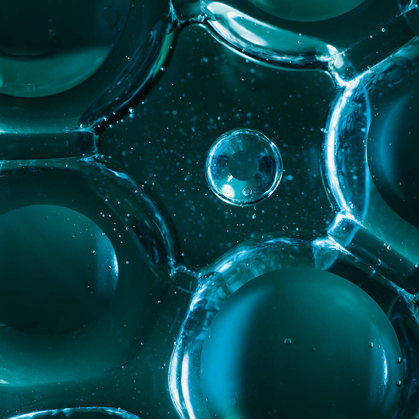 fluid_grids_Agenda 1 fluid_grids_Agenda 1