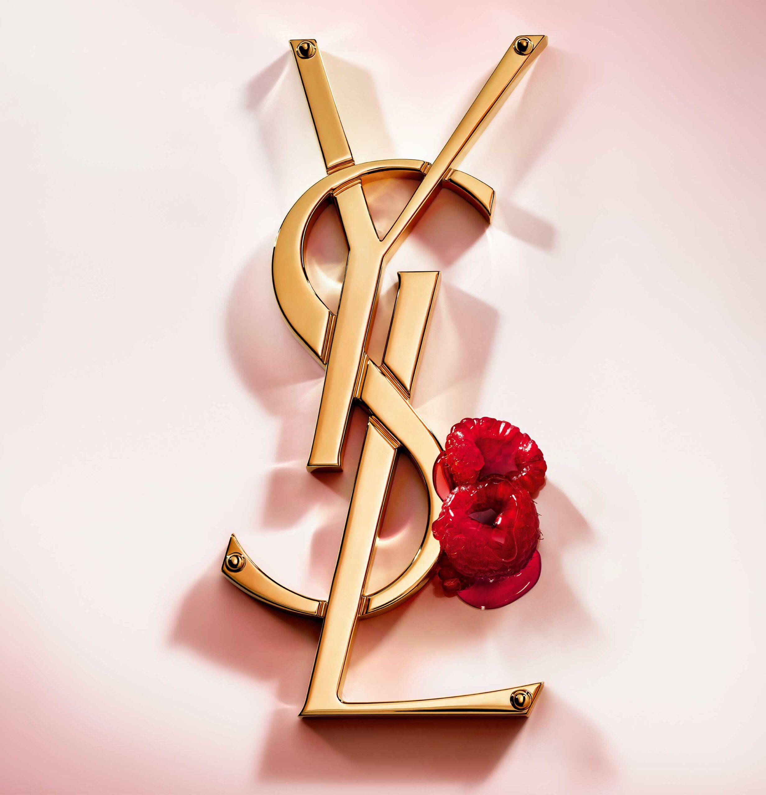 YSL_LP-site_Images_1